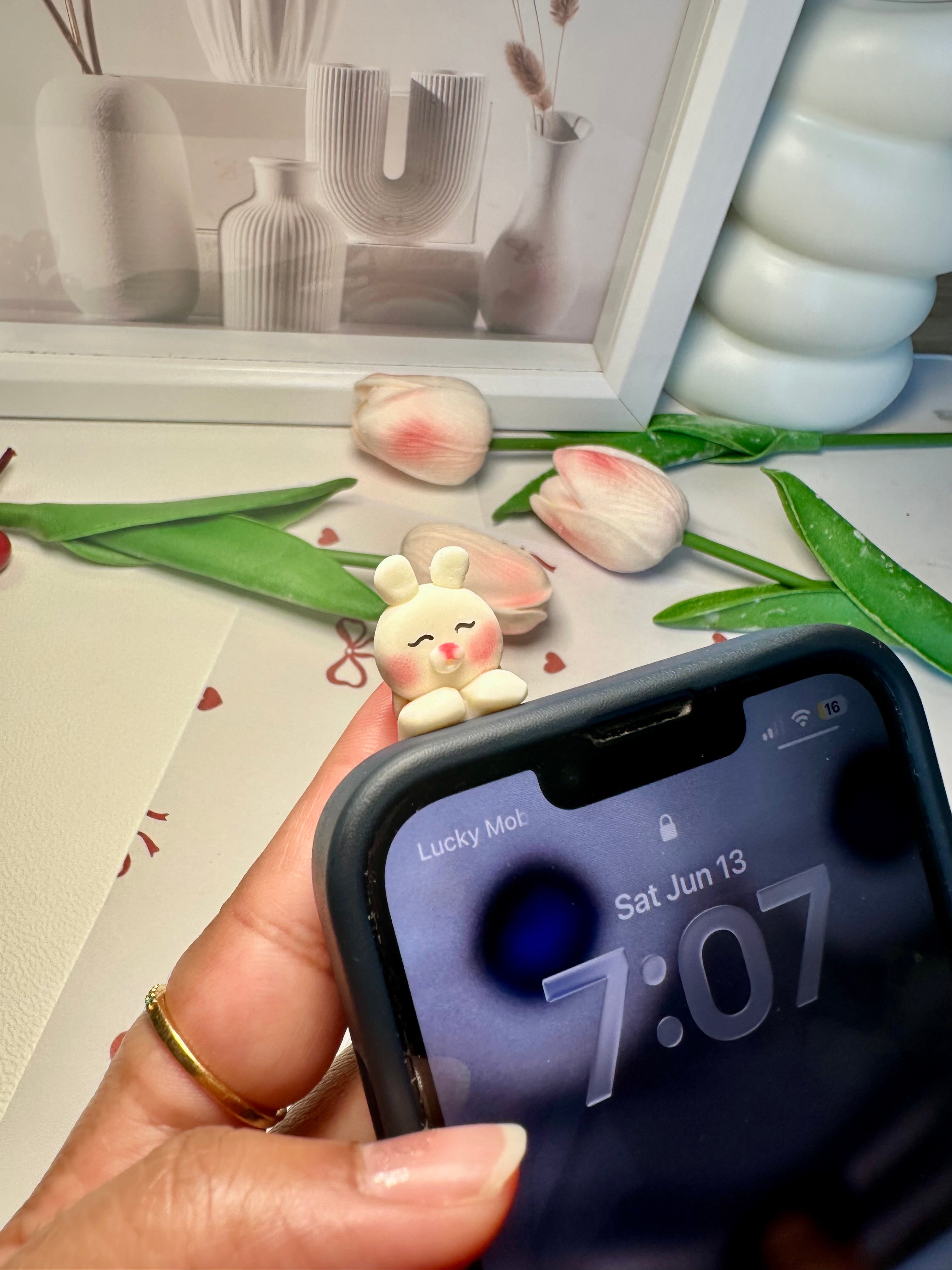 Chilling Bunny Phone Hipper